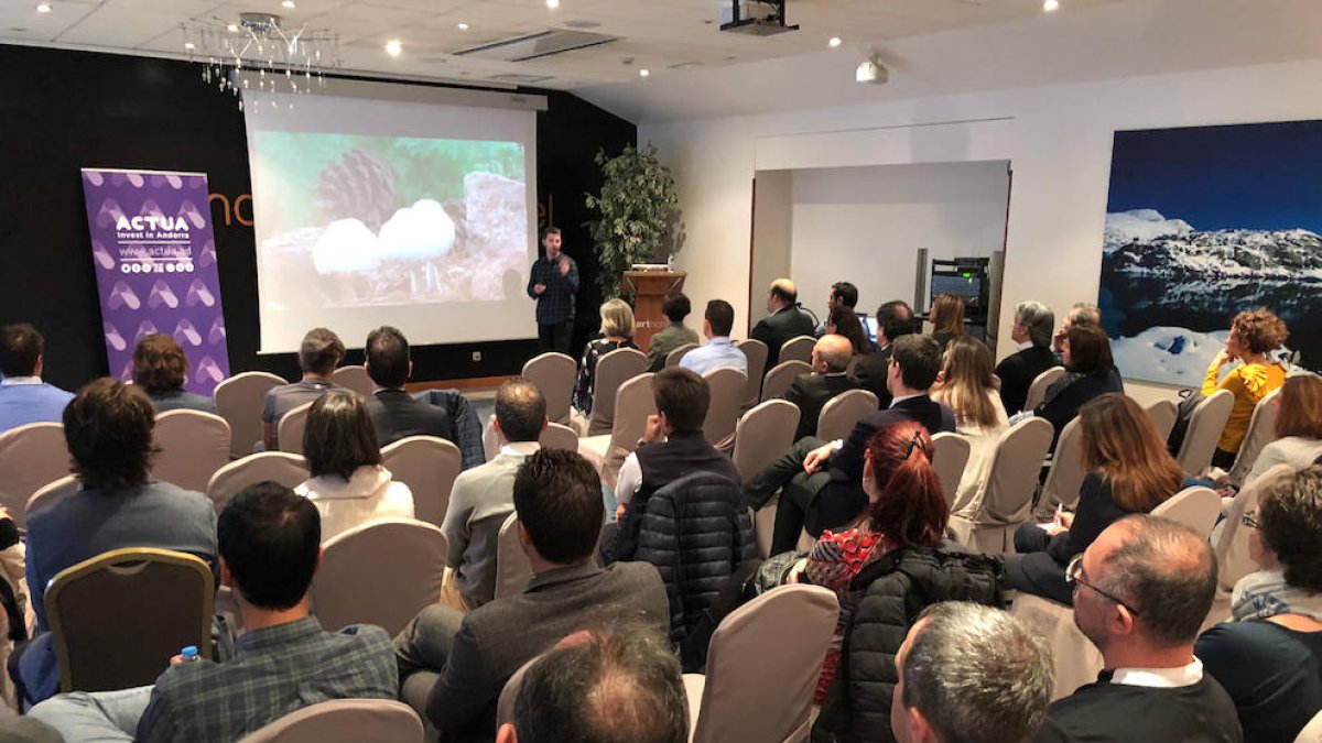 Actua celebra el primer clúster conjunt d'esports i salut