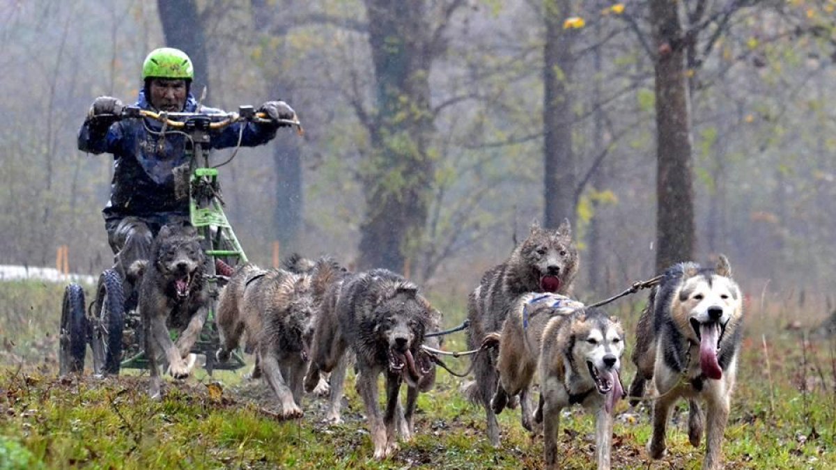 Lázaro Martínez opta a tres ors mundials aquest curs