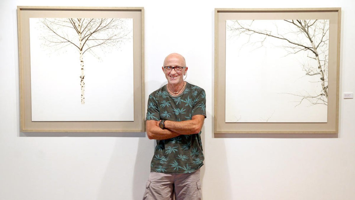 Desolació minimalista