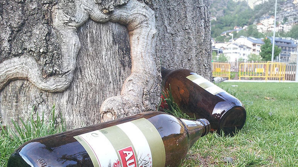 El coma etílic d'un menor desperta inquietud