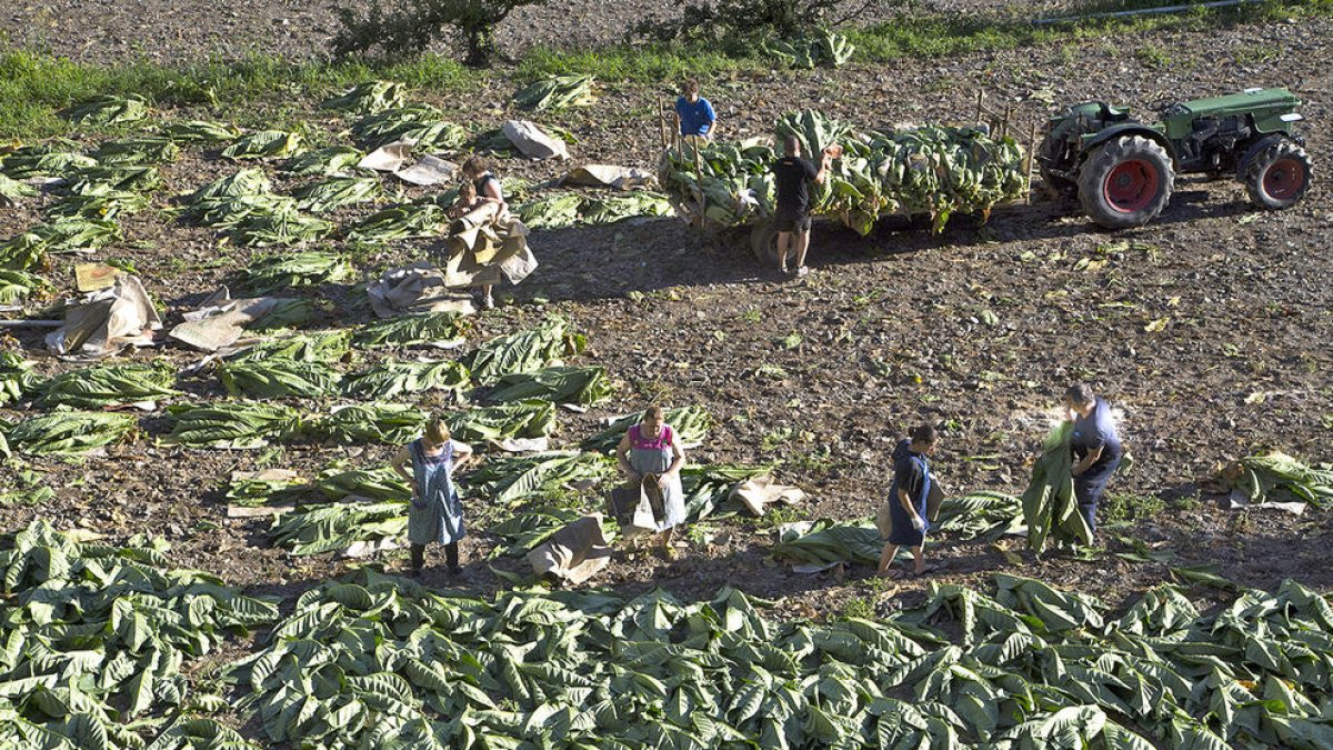 Proposta a la UE per deixar el tabac fora de l'acord