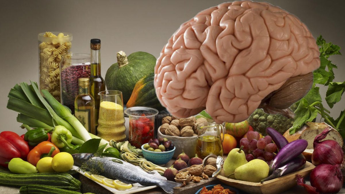 Aliments per al cervell