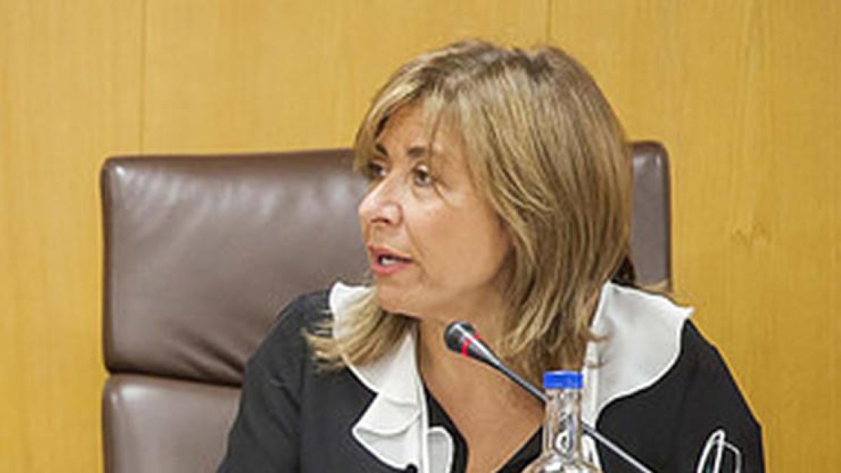 Marsol nega la falta d'informació a l'oposició