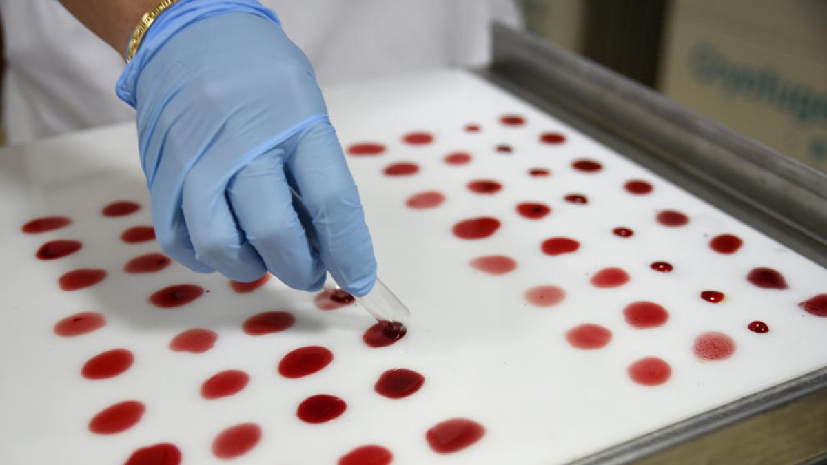 Nou mètode per detectar el càncer per la sang