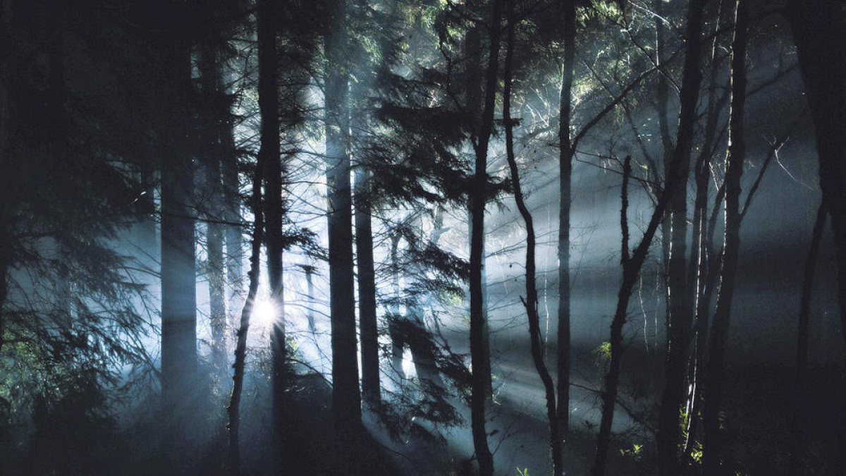 Clarobscur