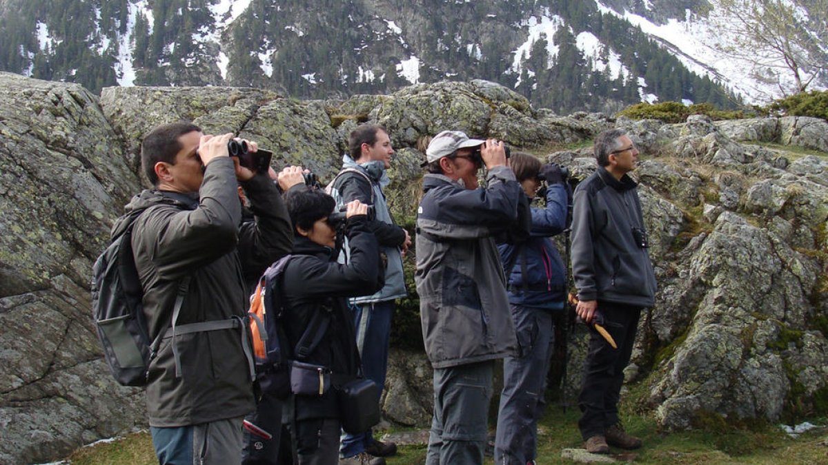 Andreu Escola guanya el concurs de 'www.ornitho.ad'