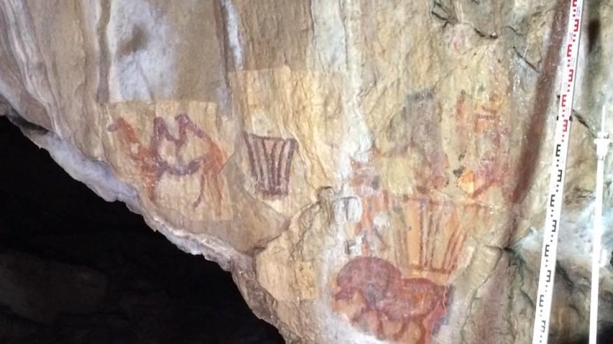 El camell descobert per Eudald Guillemet a la cova dels Urals.