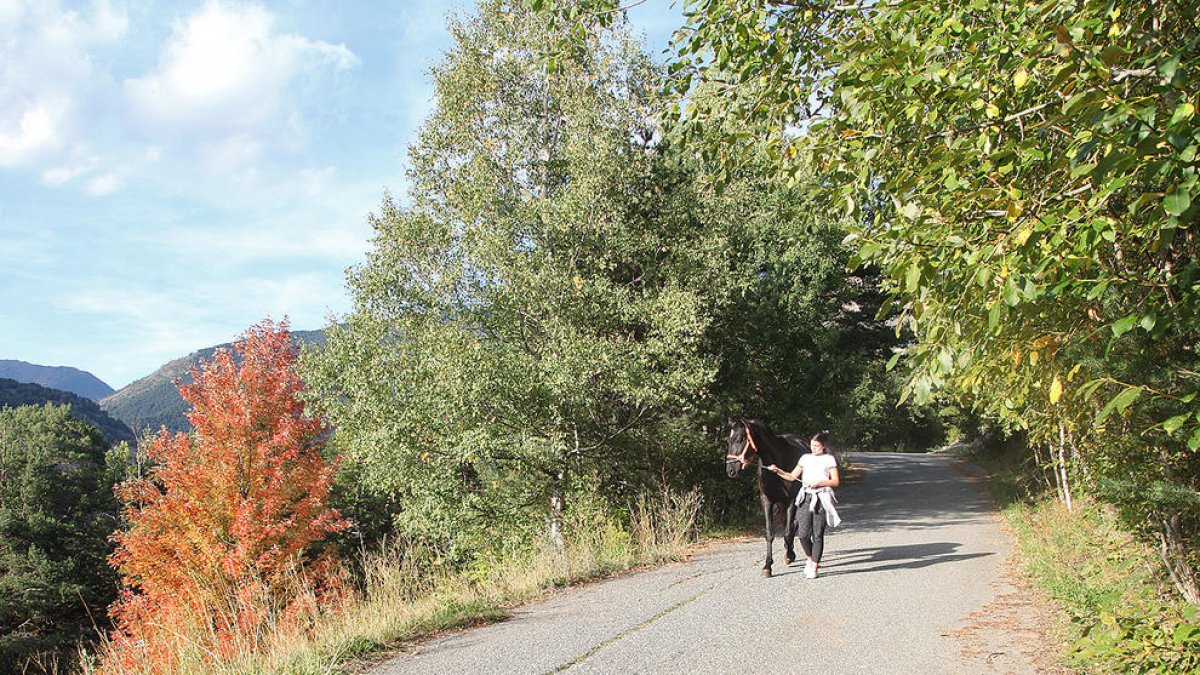 Govern declara l'ETR de l'Aldosa d'interès nacional