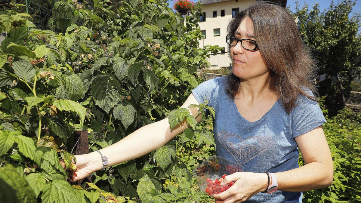 Viure de l'agricultura