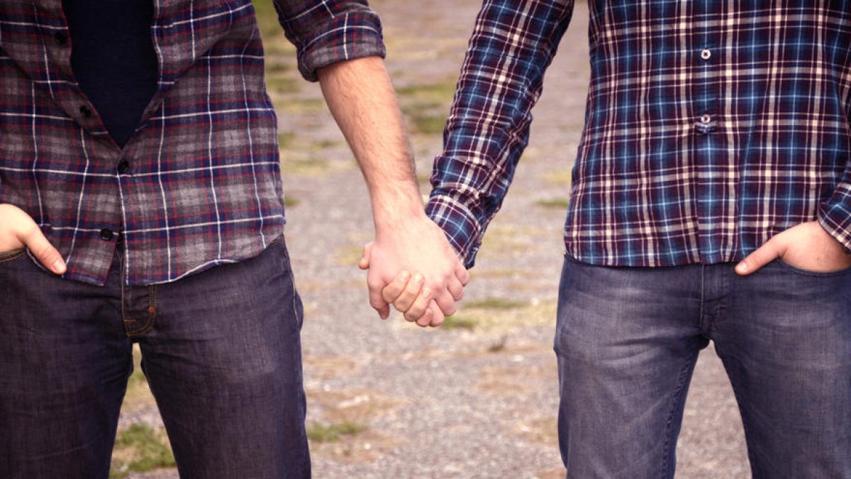 L'homosexualitat a l'adolescència