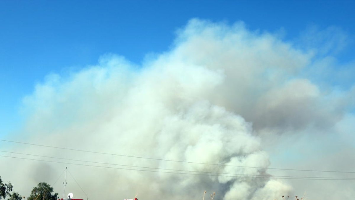 Desallotgen més de 120 persones per un incendi forestal al Bages