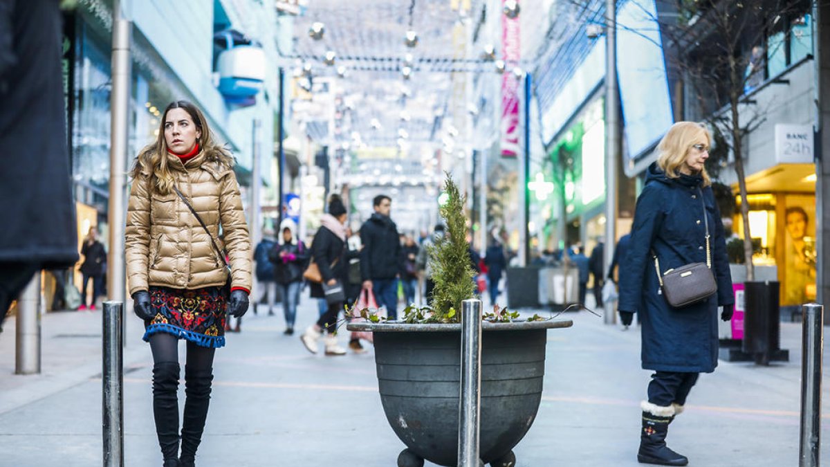 Jardineres a Vivand per garantir la seguretat 
dels vianants
