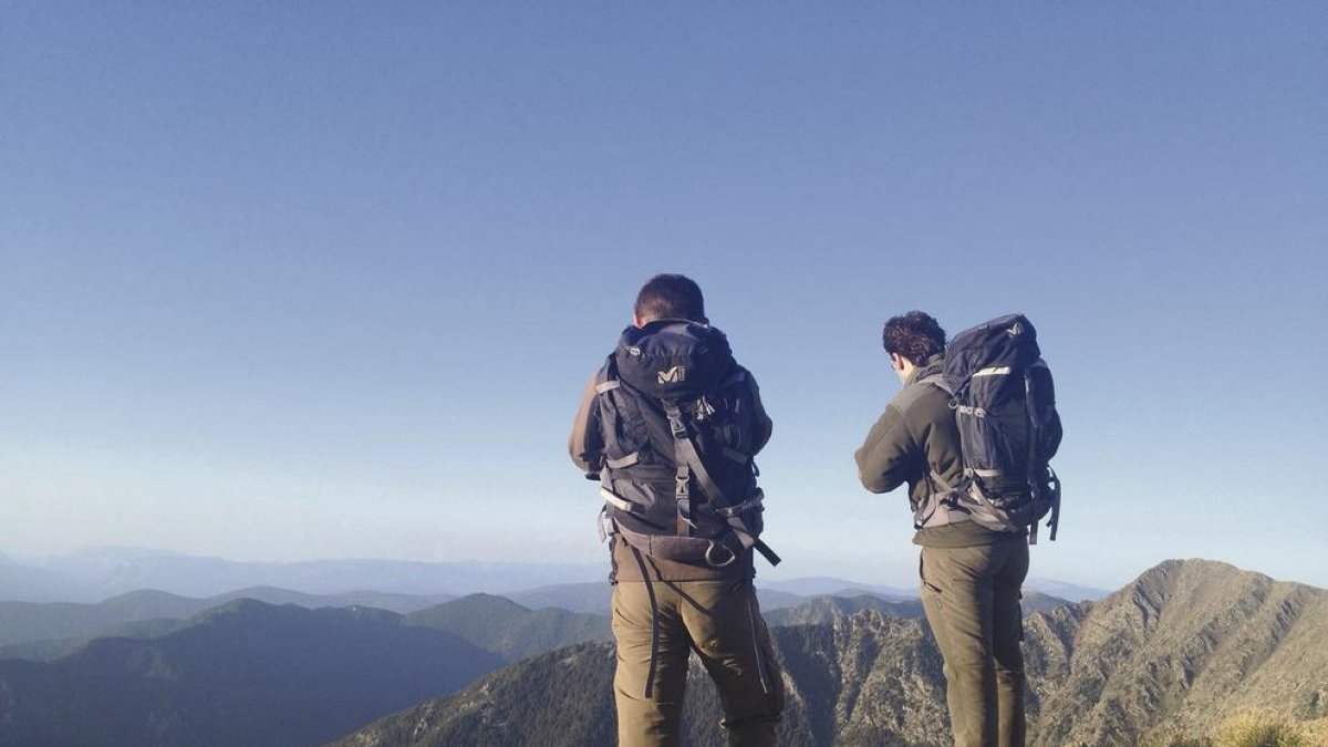 La població d'isards arriba als 800 animals
i en dispara les captures