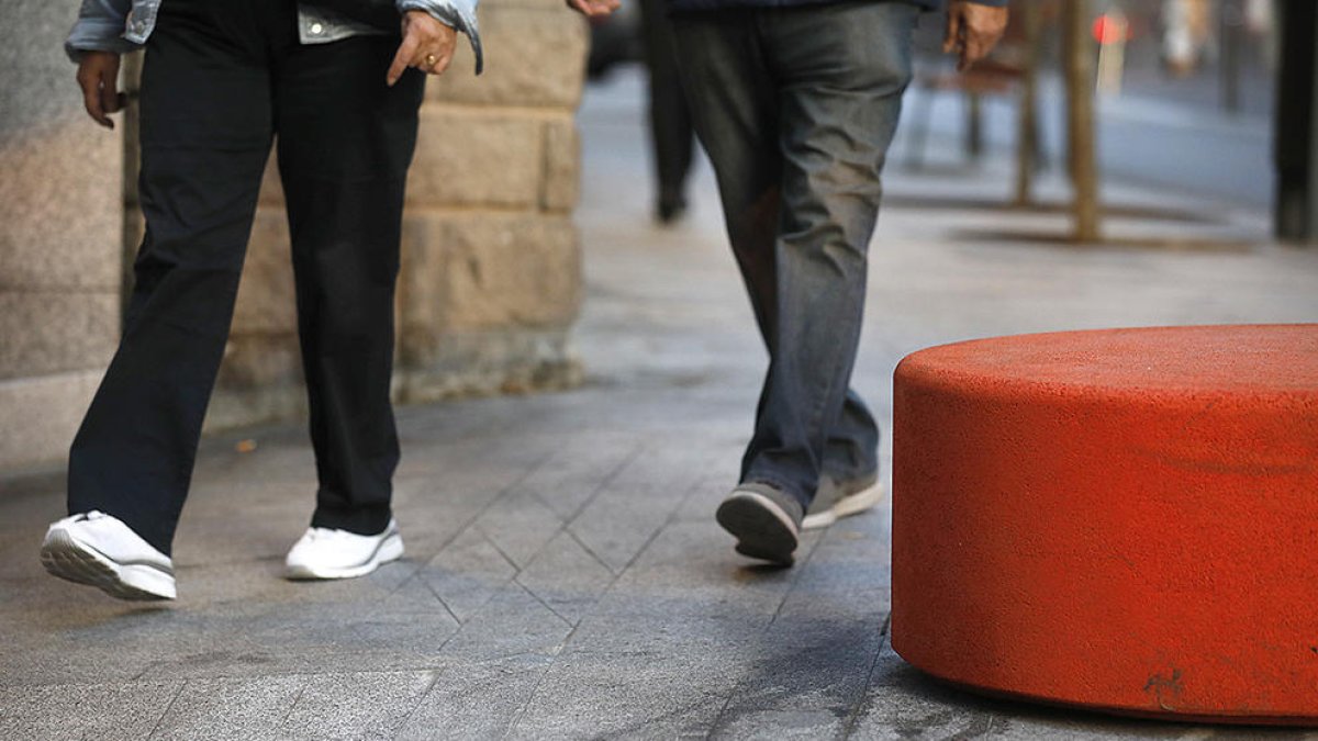 Laika vol accions per conscienciar propietaris de gossos incívics