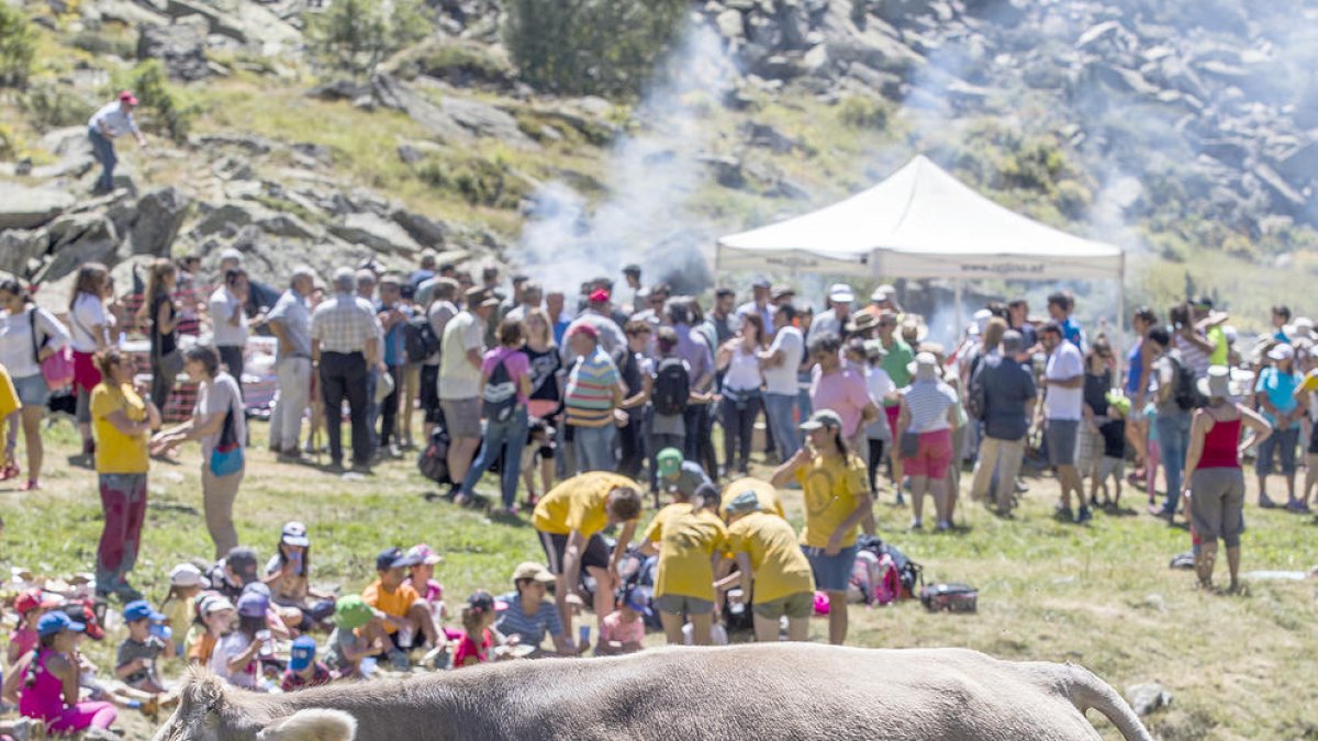 Govern i ramaders busquen noves vies per impulsar la cabana ovina