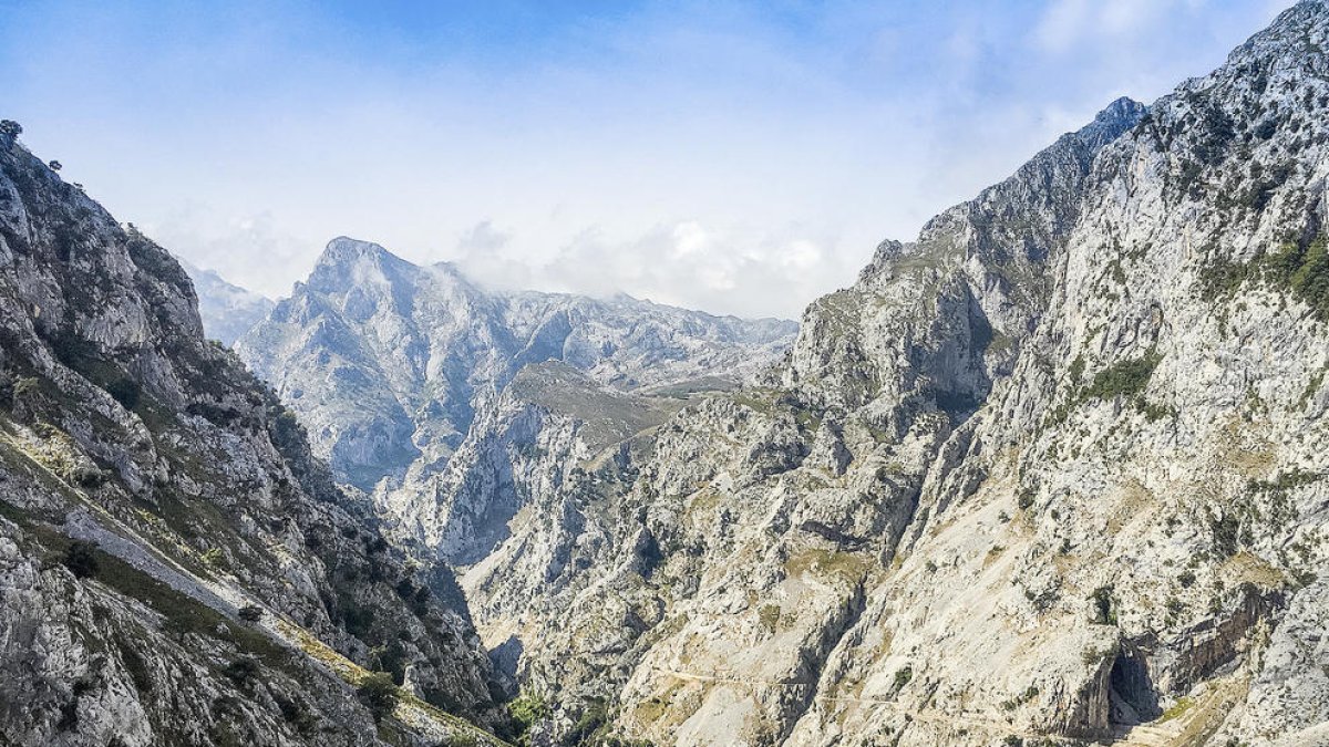 Poc esforç i gran recompensa