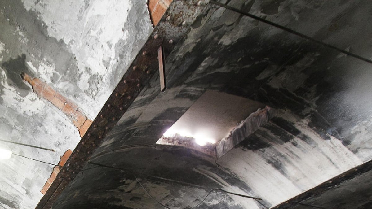 L'esquelet del Rosaleda