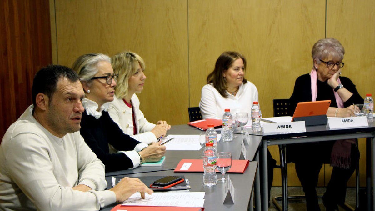 Un moment de la reunió del Consell Nacional de la Discapacitat