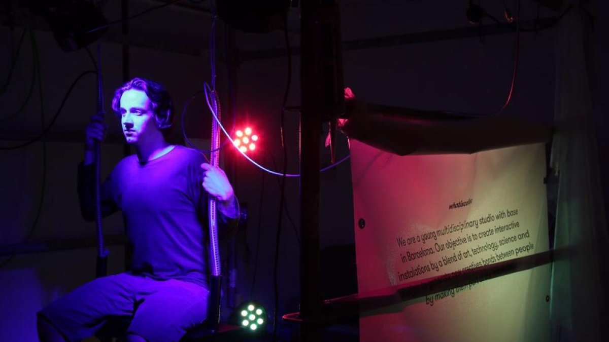 Les diferents cares de la creació