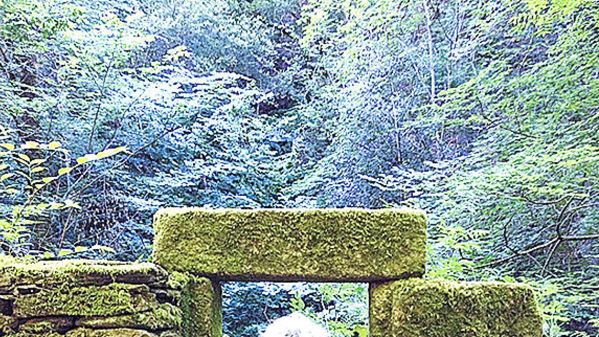 “La Terra s'està rebel·lant, hem d'aturar el consumisme”