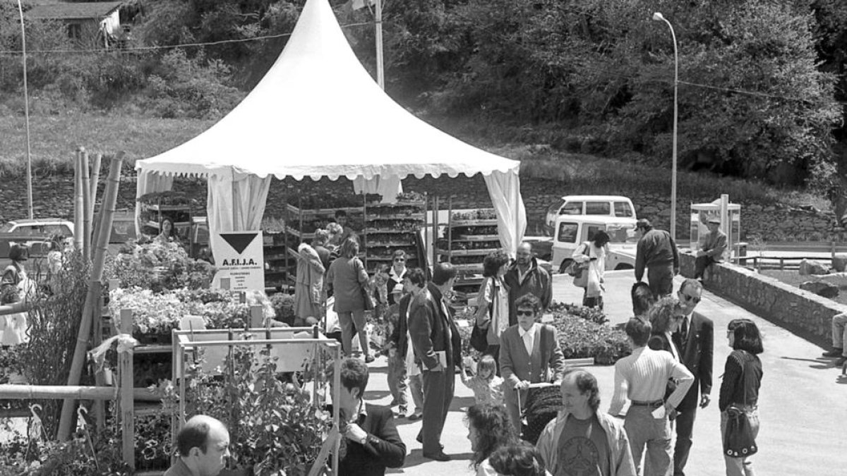 Plantes i flors a dojo