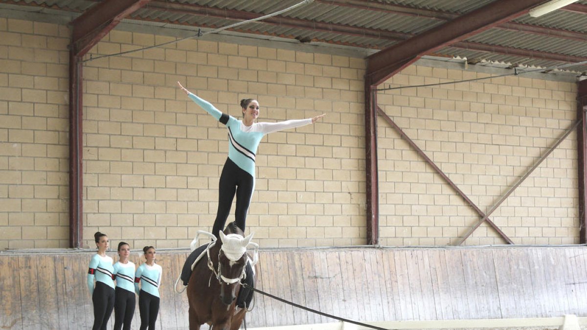 “Un cavall de volteig pot costar més de 50.000 euros”