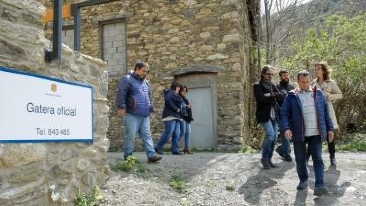 La gatera oficial entra en funcionament i ja pot acollir gats domèstics