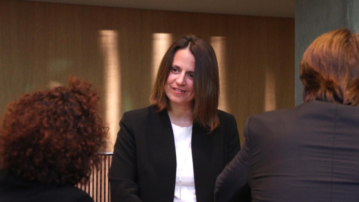 Liberals i demòcrates tomben la proposta de fer una consulta sobre la importació de residus