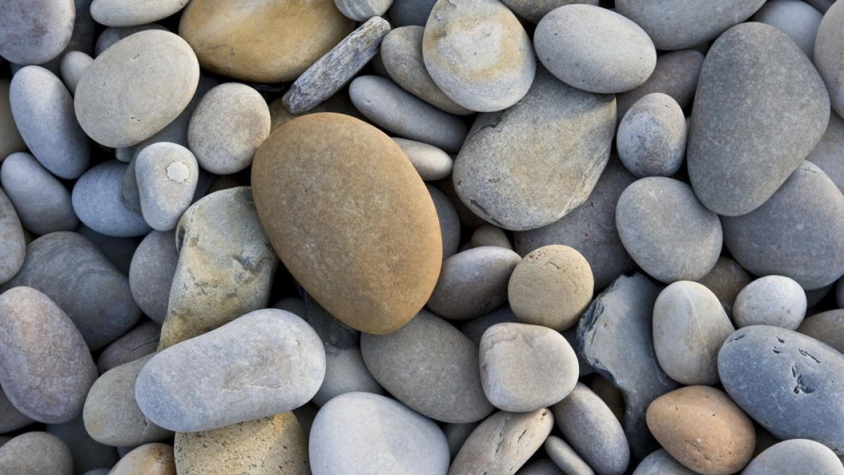 La compra de peces arqueològiques i l'heliport, als set tuits