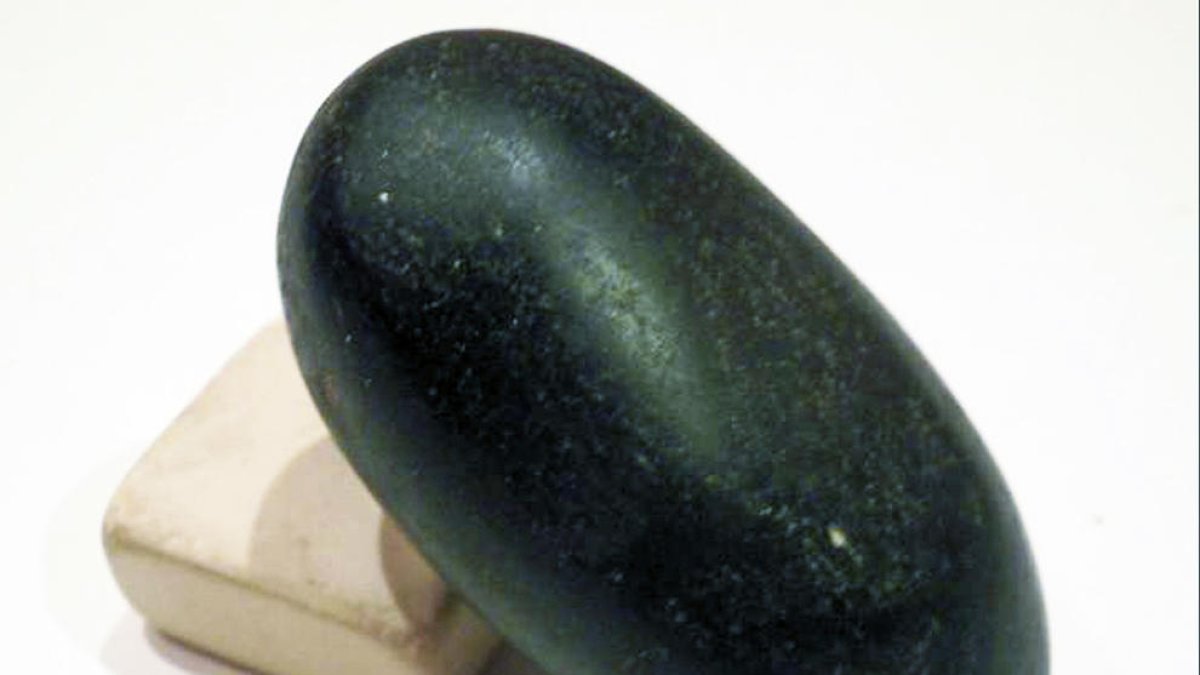 La Universitat Autònoma actuarà contra el venedor de les destrals