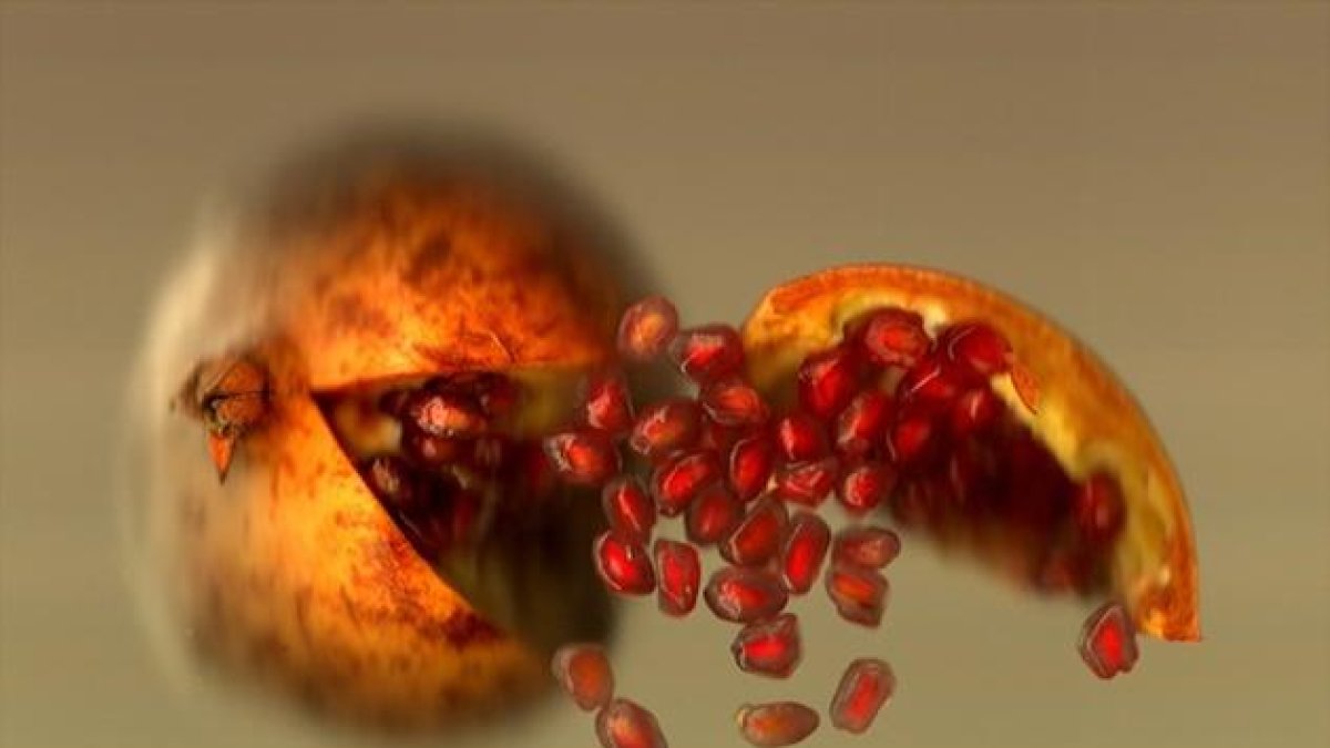 L'experiment d'un periodista amb un escàner i aliments