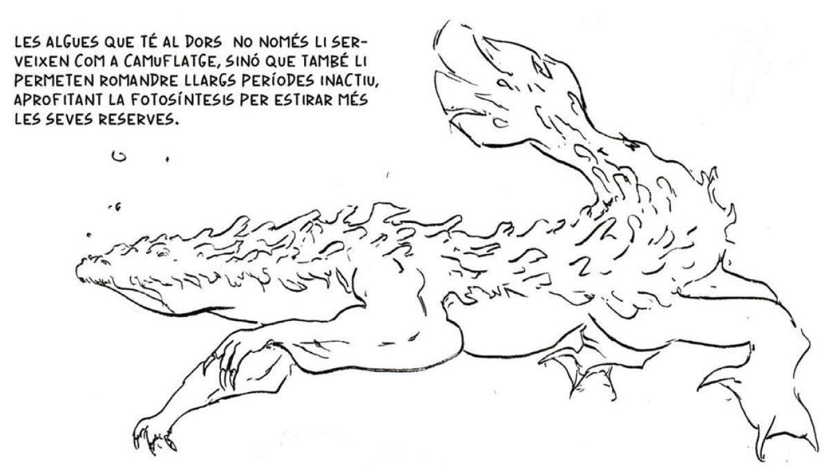 Cynara: extres