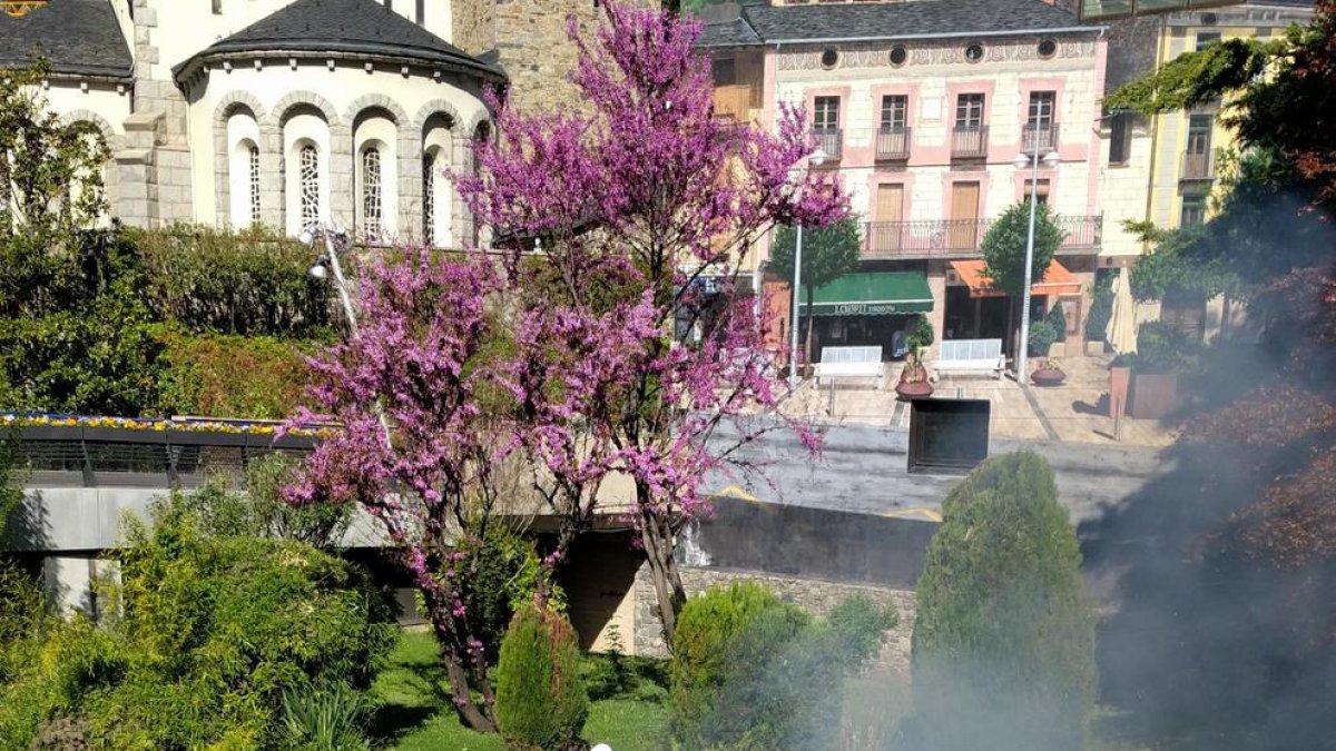 Petit incendi darrere l'edifici administratiu de Govern