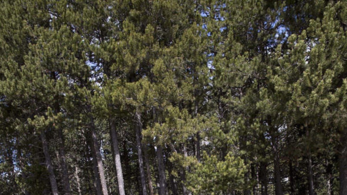 L'Excalibur Race, a punt per a una edició de rècord
amb 650 participants