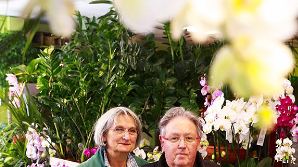 “La flor encara no és un regal que un es faci a si mateix”