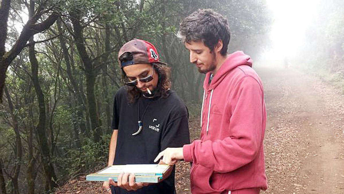 El somni de ser director