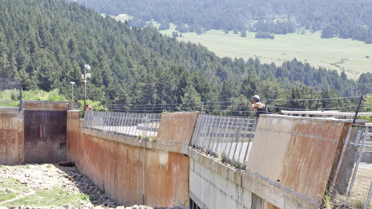 Els interrogatoris per la mort de l'os comencen aquesta setmana