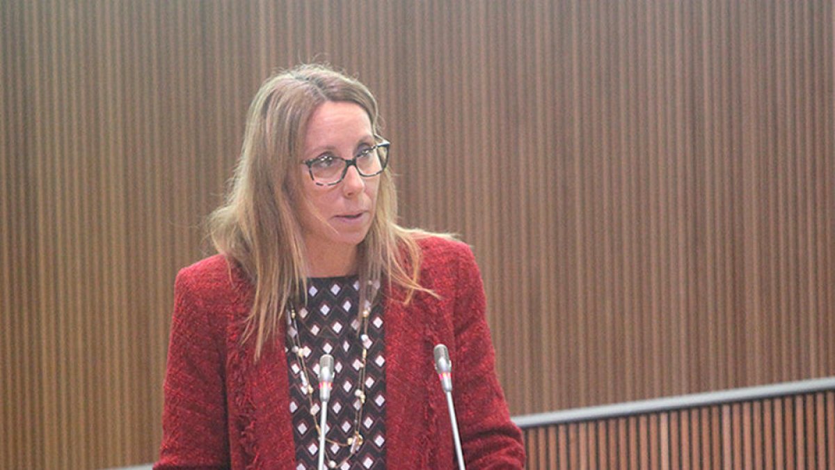 Sílvia Bonet aspira només a mantenir l'estatus actual dins del grup mixt