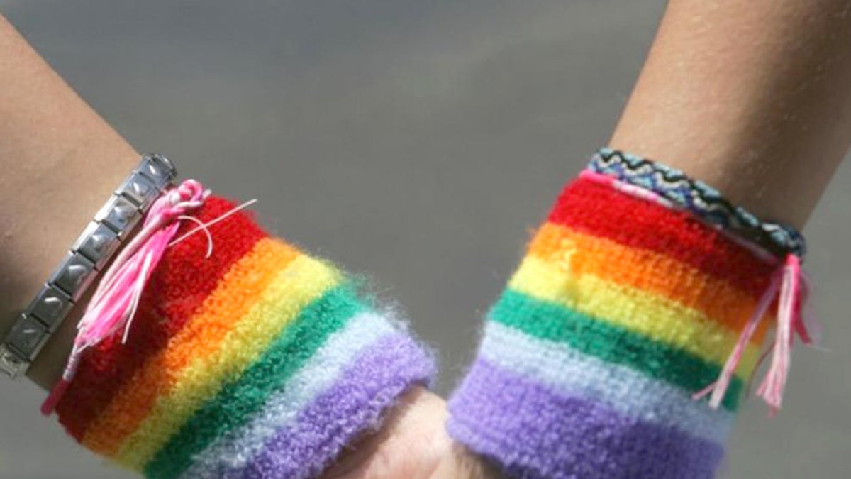Andorra aprova amb nota en política educativa inclusiva LGTBI