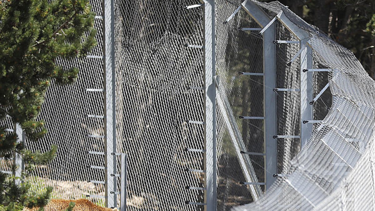 Apapma denuncia Naturlandia i demana que es tanqui el parc