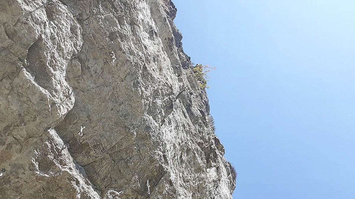 Brutícia i deixadesa al jaciment