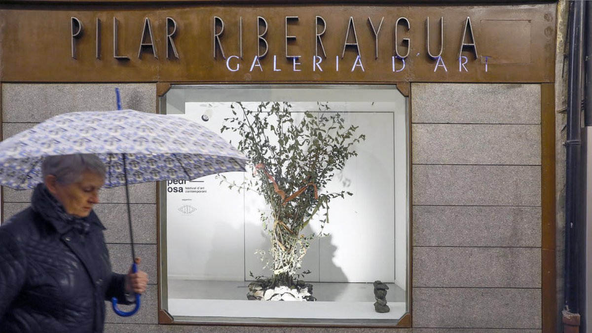 Les obres de Comartpedrosa recalen a la sala Riberaygua