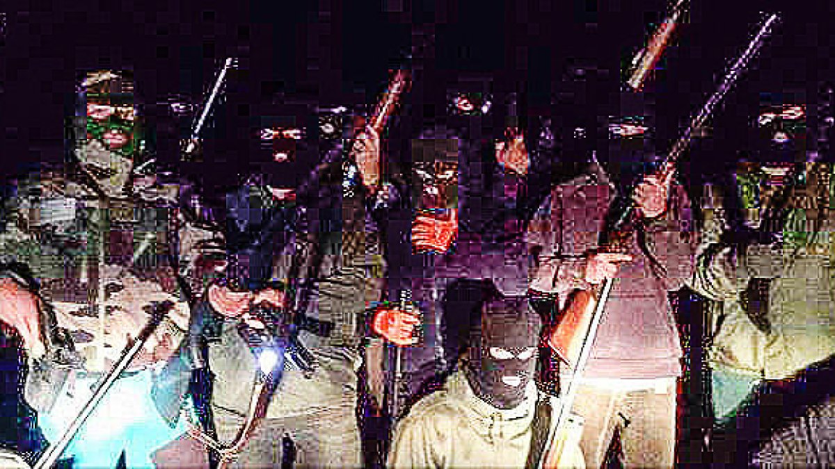 Tres anys sense detectar la presència de l'os bru al Principat