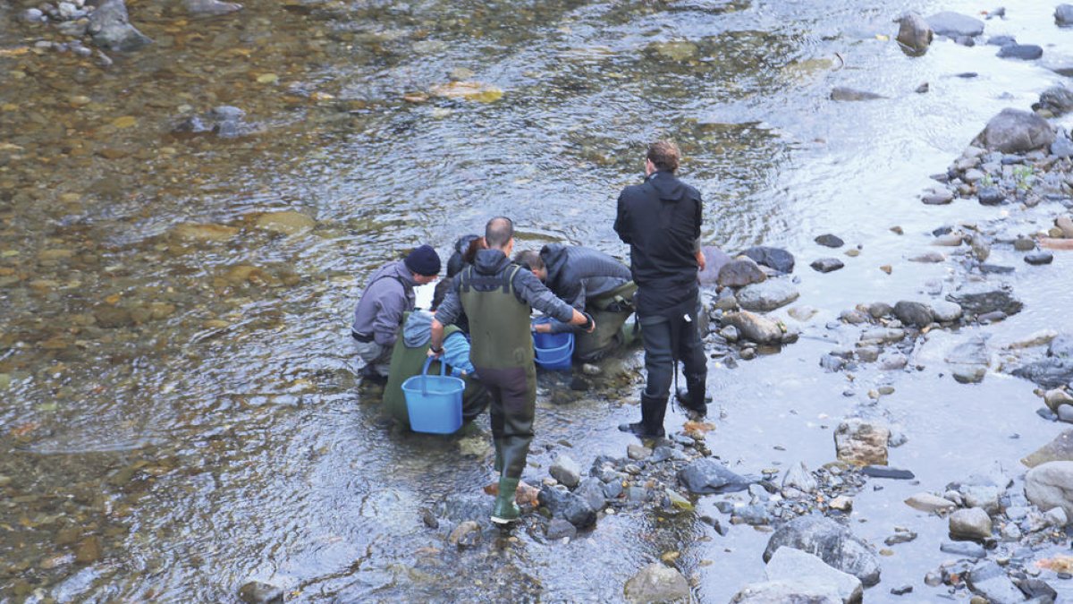 L'obra del ràfting s'inicia sense acord amb FEDA