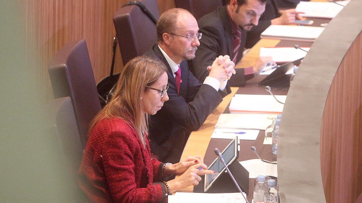 El Tribunal de Comptes no troba irregularitats
als comptes d'SDP