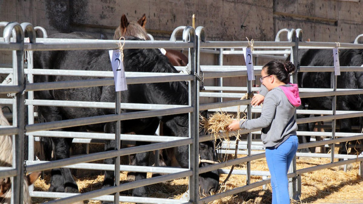 El Govern ultima una llei de certificació ecològica perquè els productors puguin obtenir el segell europeu
