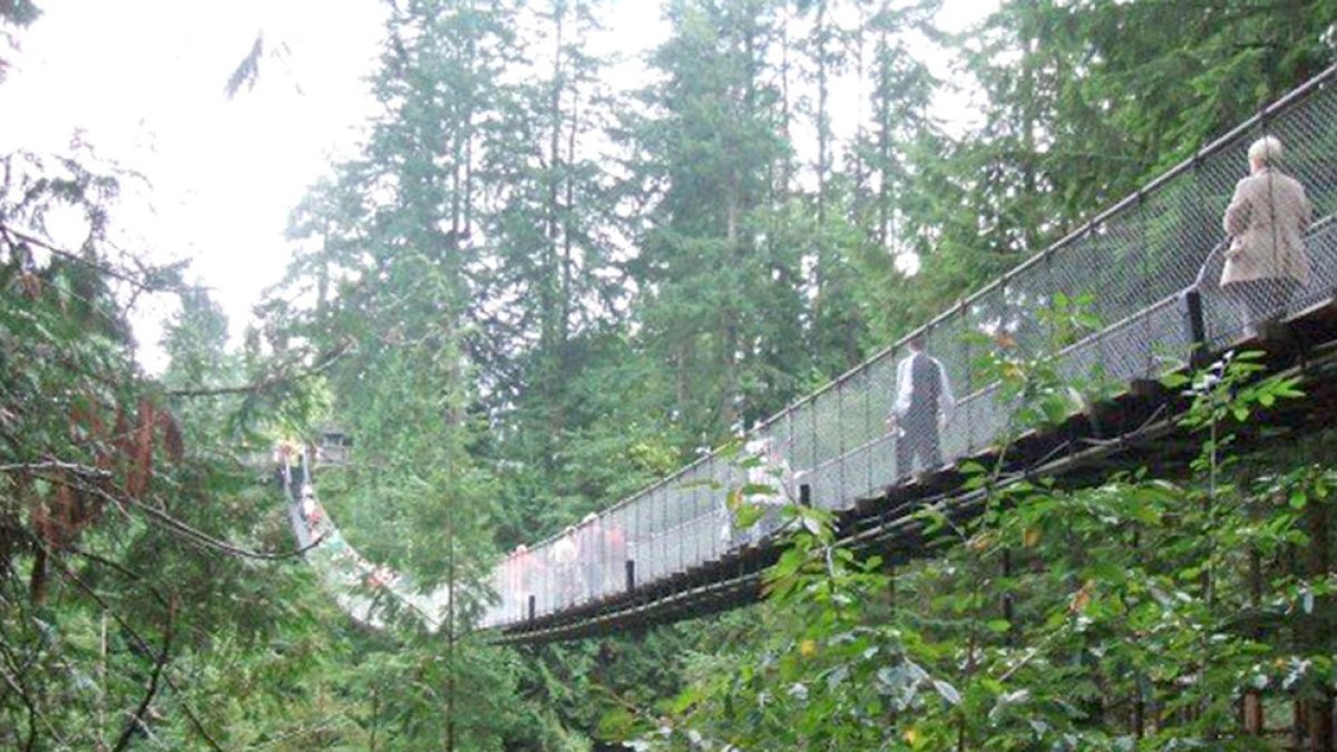 L'imperdible pont penjant