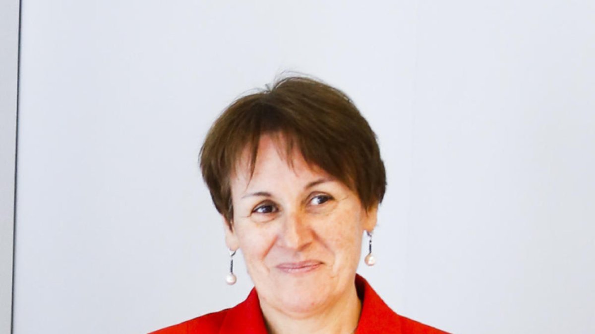 Els imprescindibles de Roser Suñé