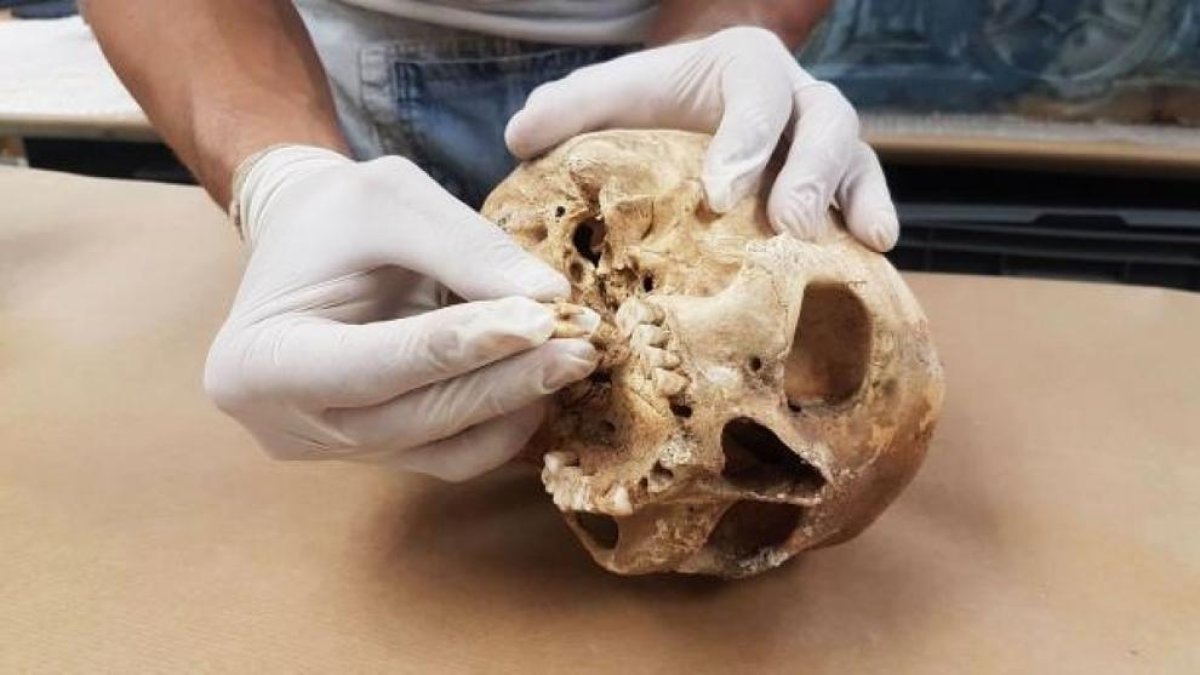 L'ADN de la Feixa del Moro