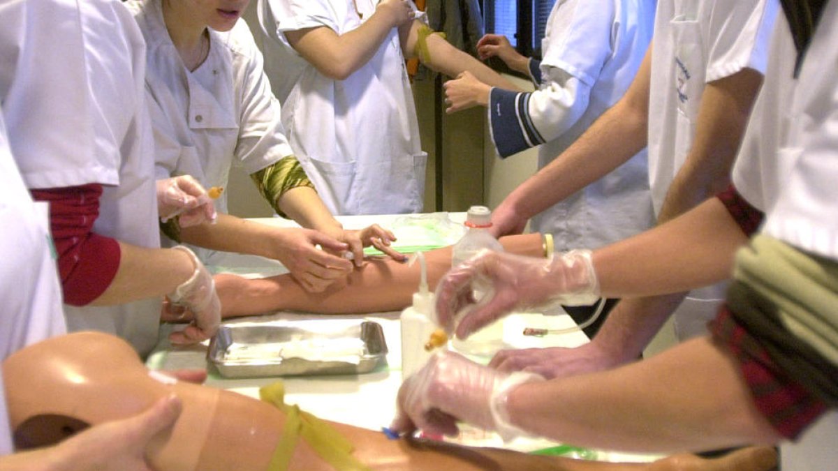 El bàtxelor d'Infermeria de l'UdA arriba al límit d'alumnes